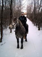 Mon cheval je ne l'ai pas choisi, je lui ai sauv&eacute; la vie.
C'est mon pensionnaire qui avait achet&eacute; ce poulain de 18 mois pour faire de l'attelage,...