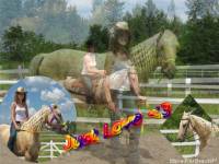 Voici le montage pour Fjord4EveR !