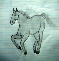 Un cheval moche au pattes foqu&eacute;! .