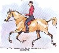 Cela s'appelle l'aubin:

C'est un mélange de trot et de galop ; l'aubin du devant : le cheval trotte avec les postérieurs et galope avec ses...