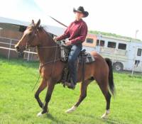 Je ne fais pas de Gymkhana avec mon Arabe, mais de la plaisance Western, il le fait tr&egrave;s bien