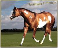 Voici , Hot wheels in motion ..
Le Papa De Mon , HotSocks in motion
