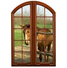 mon rêve ahah  lol Je pense que j'en ai des centaines par rapport aux chevaux. Mais celui que je désire le plus à long terme, c'est d'avoir une maison pas trop...