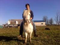 Nom: Feng-Shui alias Petit Nuage 
&Acirc;ge: environ 10 ans
Sexe: Guelding
Race: Poney .. 
Hauteur au garrot: 10 mains 
Discipline: Attelage...