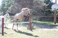 Mercedez, 6 ans
