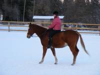 vote pour San antonio le cheval a tonerre 

mais je vous met une photo de mon amour pareil

Pat, quarter horse, 12 ans