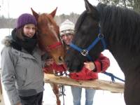 Bonjour!

Moi j'ai une jument quarter horse de 5 ans d'environs 15 mains 1 ou 2 et un hongre canadien de 7 ans(si je ne me trompe pas haha)...