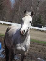 Angee, 7ans, qhXarabe