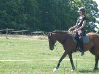 oui oui je longe mon cheval avec un mors simple , je n'utilise ce mors que quand je le bosse en dressage mont&eacute; . 
Je ne le travail que depuis peu ce...
