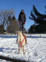 Bon,  

Pour moi tout &agrave; commencer quand j'ai d&eacute;but&eacute; la comp&eacute;tition de plaisance. Malheureusement le cheval que j'avais &eacute;tait simplement lou&eacute;. &Agrave;...