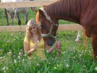 Nous &eacute;tions aller voir les chevaux,mais il n'&eacute;tait pas questions qu'on en rapporte un aujourd'hui,on devait prendre notre temps,que mes parents me...