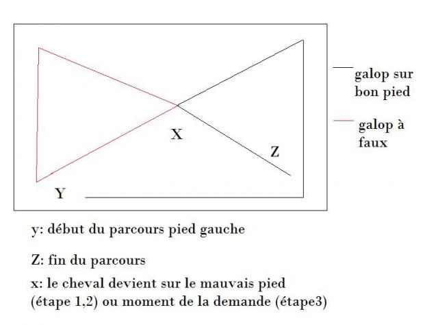 Bon je ne connais pas les méthodes de réceptions

Par contre si ton cheval n'a jamais été entraîné pour les changements de bien, c'ets certain que même en ...
