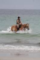 bonjour
si c'est la premiere fois y aller progesivement surtout si c'est au bord de la mer, rien que le bruit du roulli des vagues peu l'effrayer...