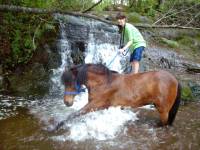 PetiteFany, ma jument avait peur de passer dans les flaques d'eau, mais quand je suis arriver dans le bassin de la chute d'eau, elle trippait, elle...