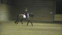 je ferai peut-etre niveau 1 avec un kur avec un cheval de mon &eacute;curie