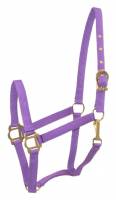Moi j'ai:
- un jaune/vert tout d&eacute;fraichit et sale
- un bleu b&eacute;b&eacute;
- un bourgongne avec des chevaux dor&eacute; dessus

et je viens de m'en commander un...