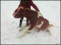 J'imagine que tu utilises le truc de demander &agrave; ton cheval de se relever puis tu essaies de l'imterompe ? Ca ne fonctionne pas toujours. Ce que tu...