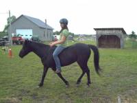 Je suis du m&ecirc;me avis que Hallveig, et aussi, quand tu part avec un cheval en randonn&eacute; en cordelette, c'est parce que c'est un cheval que tu connait...
