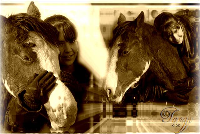 Oui  mél_cheval j'en fait encore! :)

Et voila ton montage mika+ 