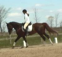 Et au galop...