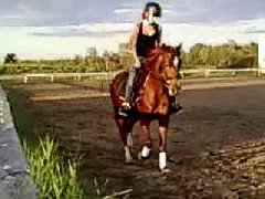 elle ferais tout pour son cavalier et elle a une confiance énorme en moi :)