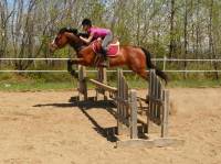 Je motne une petite tb qui appartient a une de mes amie! Elle a fait d ela course et maintenant, c'est une JUMPER!