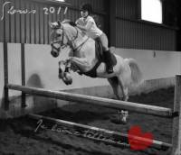Moi mon cheval vient des course , c'est un TB . IL est unJUMPER hihi