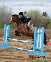 OUi je motne la-abs ! je croisq ue ca va faire 6ans.. Il y a de tout! on a manege interieur, carelle de dressage, padock JUMPER, padock CHASSE,...