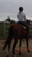 Mon cheval est bai et jadore l'orange, plus tard je vais surment m'orient&eacute; vers le turquoise ou le jaune