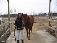 moi jai monter mon cheval as cru environ 5 fois et je le fais au pas mais quand je commence au trot je tombe et je trouve sa bien drole mais ma demi...