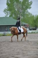 Mirage, jument quarter horse. Elle nest pas a moi, mais je l'ai en pleine pension. Sa v&eacute;ritable propri&eacute;taire est Caroline Bolduc.