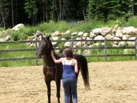 Bonne chance, la relation qu'on peut b&acirc;tir avec un cheval c'est magique