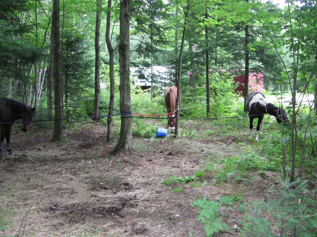 J'y suis deja aller avec plusieurs personnes de mon ancienne ecurie. Les trails sont belles, entretenues et le camping est bien fait!
On peut se baigner avec...