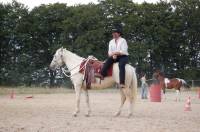 Mes chevaux sont calme meme le cheval de bat