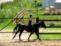 Mon cheval est gard&eacute; au boxe jour et nuit, et il a l'oeil bien brillant   Je le maltraite tellement, en le laissant &agrave; l'int&eacute;rieur... C'est certain...