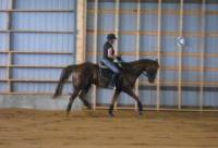 Je fait du dressage avec un Qh justement. Dommage que mes vid&eacute;os ne fonctionnent pas car tu aurais pu constater qu'ils sont tr&egrave;s bon (sur youtube il...