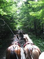30 km par jour de trail extraordinaire!  L'an prochain j'amene mon Paton !

ps ha oui Marc19 nous avons &eacute;t&eacute; chanceux car nos chevaux ont juste...