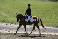 moi mon cheval est super   au début j'ai passé mes cavalier western avec lui et après je me suis ms au dressage   après 2mois d'entraînement j'ai...