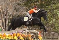Je trippe pas Frison, mais faut avouer que m&ecirc;me en saut, ils gardent leur style &eacute;l&eacute;gant et majestueux