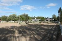 www.clubequestredequebec.com  Viens visitez !