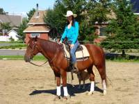 Moi et mon cheval en western