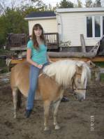 moi j'ai une petite pouliche de 2 ans et demi 
j'ai bien toute les discipline western et classique , mais j'aime bien faire du dressage et des rando...