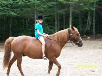 Le 8 novembre 2009, cela faisait deux semaines que Black (mon 1er cheval) &eacute;tait d&eacute;c&eacute;d&eacute; quand j'ai sur un coup de t&ecirc;te demander &agrave; mon amie de se...