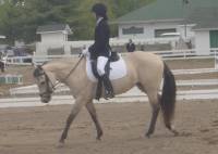 Cet &eacute;t&eacute; ce sera ma deuxi&egrave;eme ann&eacute;e...Je fais du dressage et je ferai surment niveau 1 junior. Mon association est l'AERL et j'irai avec la jument de...