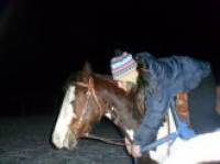 &Eacute;clipse:
3ans et demi
Super gentille 
14-15 mains je ne sais pas trop
Jument
Paint horse
N&eacute;e le 24 aout 2009 (je ne l'oublierais...