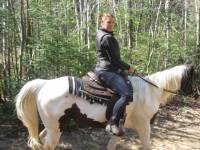 salut moi ca coute 360$ pour 10 cour de 1h environ mon cheval avait 0 moin  une bare il connaissais rien et en 14h de cours ben chu rendu je fais la...