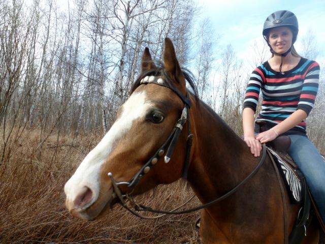 Moi j'ai le cheval de ma vie ! Mon poulain Micro qui vient d'avoir 4 ans !  Il est croisé avec probablement de l'arabe et je ne sais pas quoi  XD   Je l'ai...