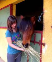 je monte aussi les chevaux des proprios de mon club ainsi que le cheval de ma soeur, alors c&ocirc;t&eacute; progressivit&eacute;, il y a pas de soucie &agrave; se faire,...