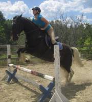 Javais un paint que jai vendu. 
jai en ce moment un spotted saddle horse (importer) et je ladore

ps. cest rendu mon cheval mais ses pas moi qui...