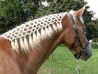 tu peux aussi faire une tresse de cette fa&ccedil;on. c'est folie mais c'est tr&egrave;s long &agrave; faire.